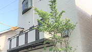外壁・屋根